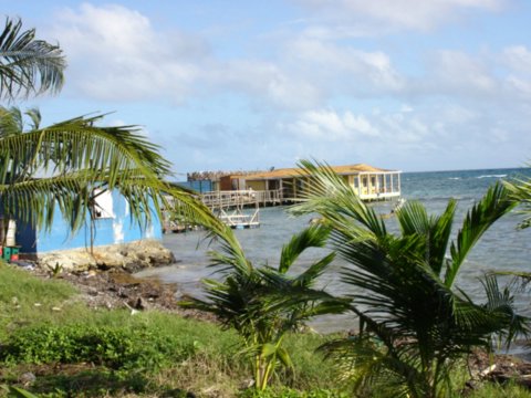 cornisland11.jpg