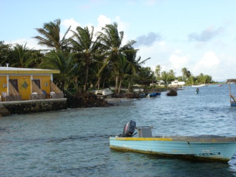 cornisland9.jpg